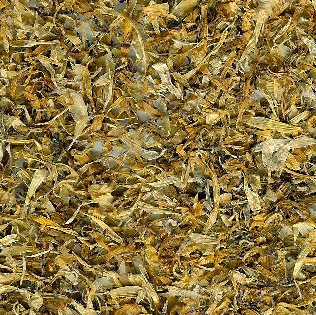 Calendula Petals