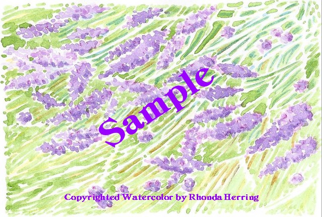 Note Card Set Lavender Inspiration