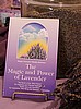 The Magic and Power of Lavender