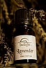 Lavender Oil